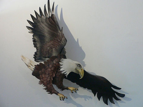 Small Bald Eagle