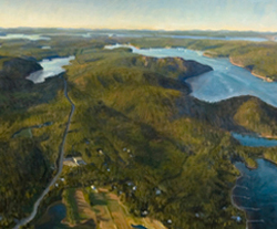 aerial view of valley